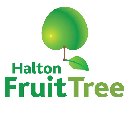 fruit tree logo