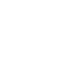 flir logo